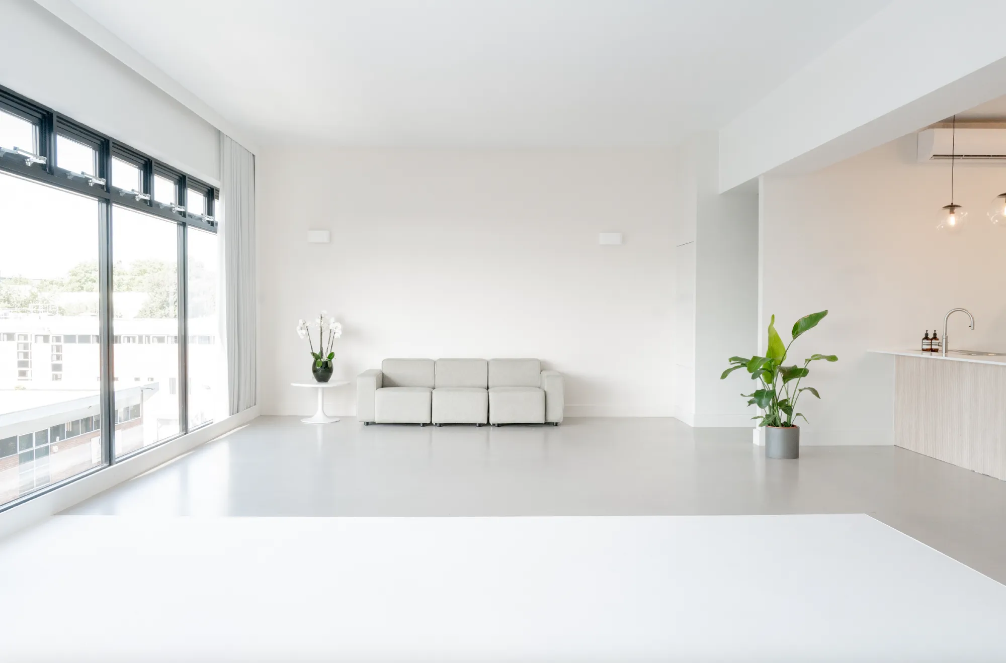 Plants project by Hox Box