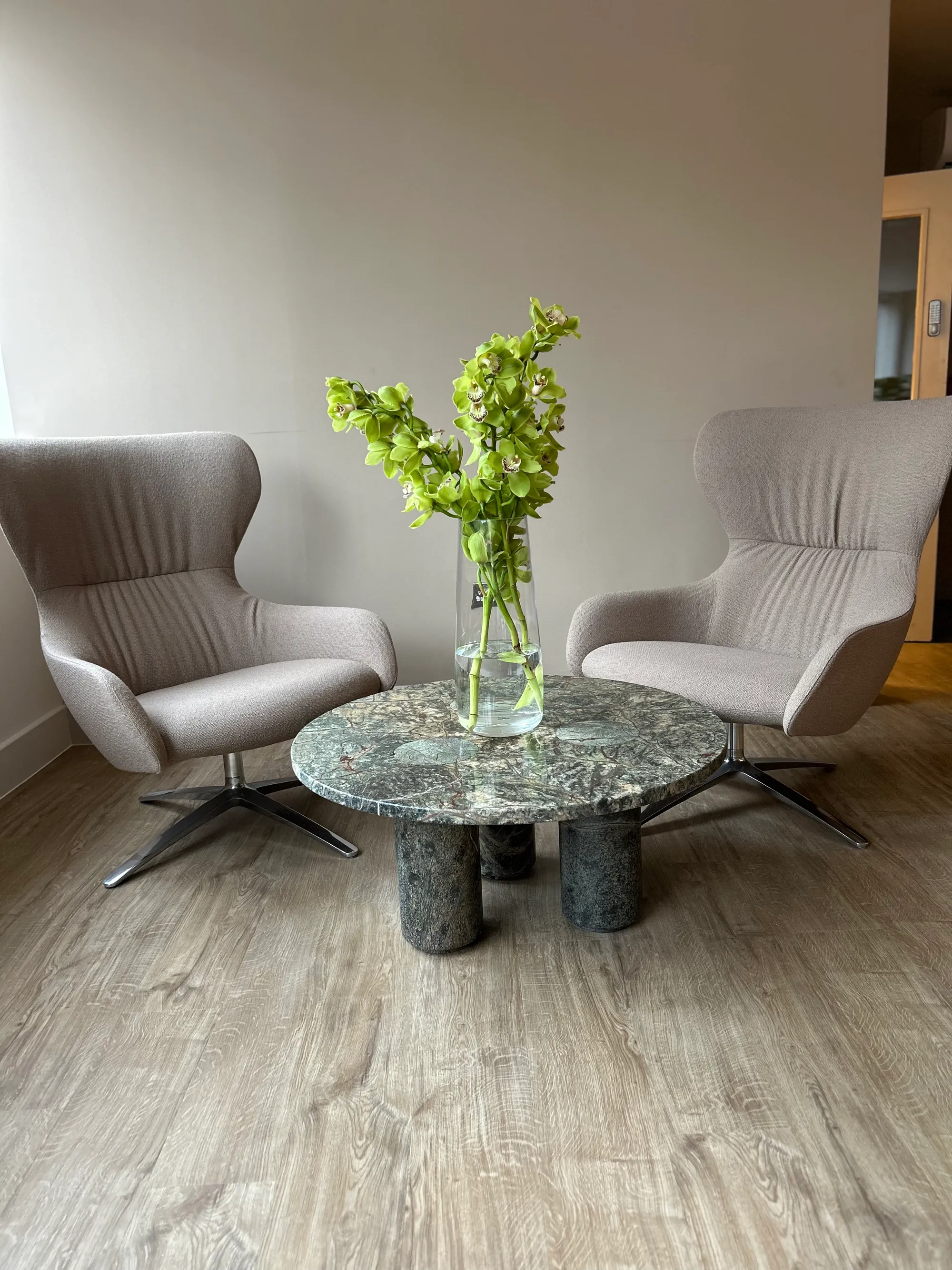 Plants project by Hox Box
