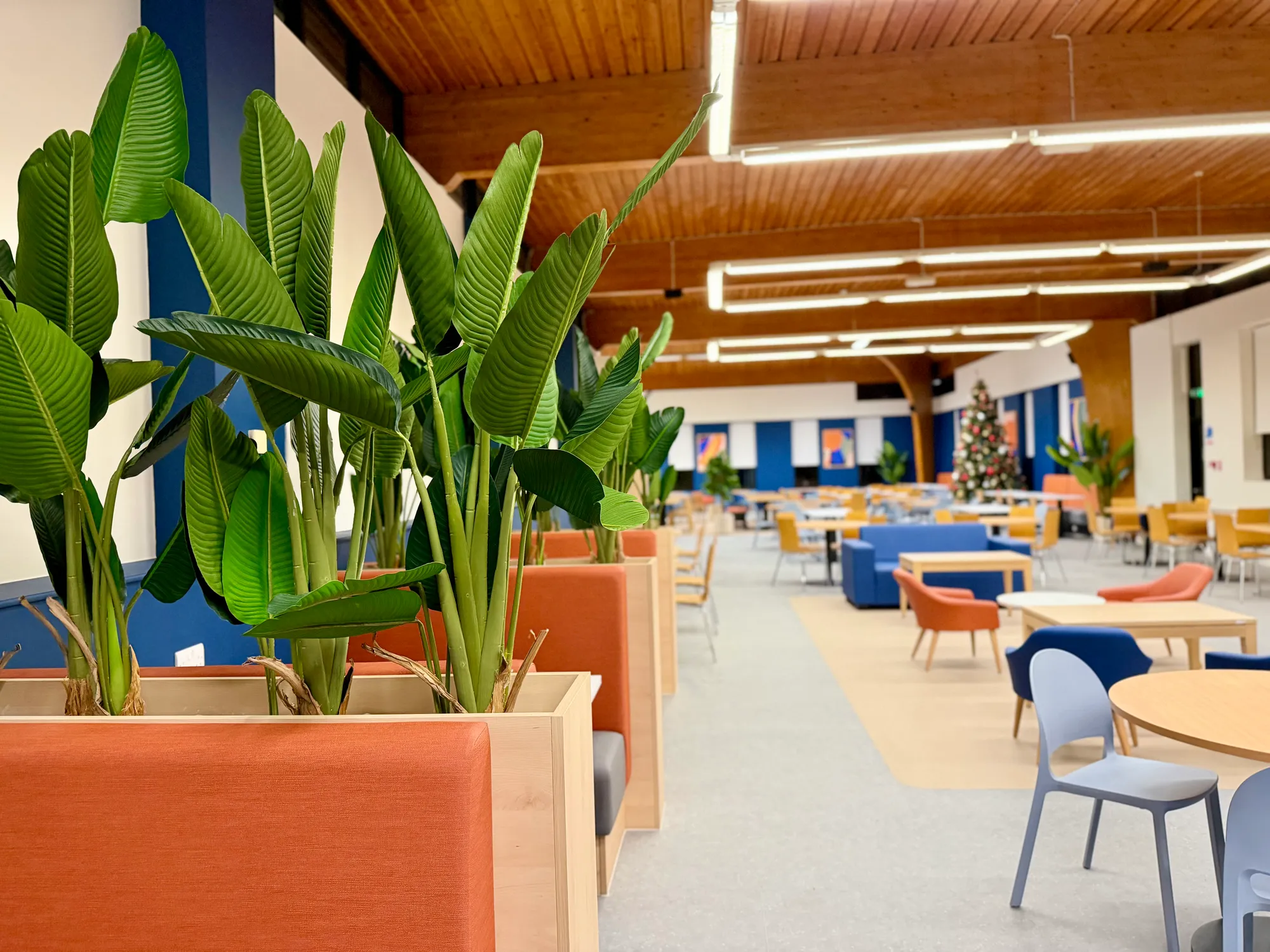 Plants project by Hox Box